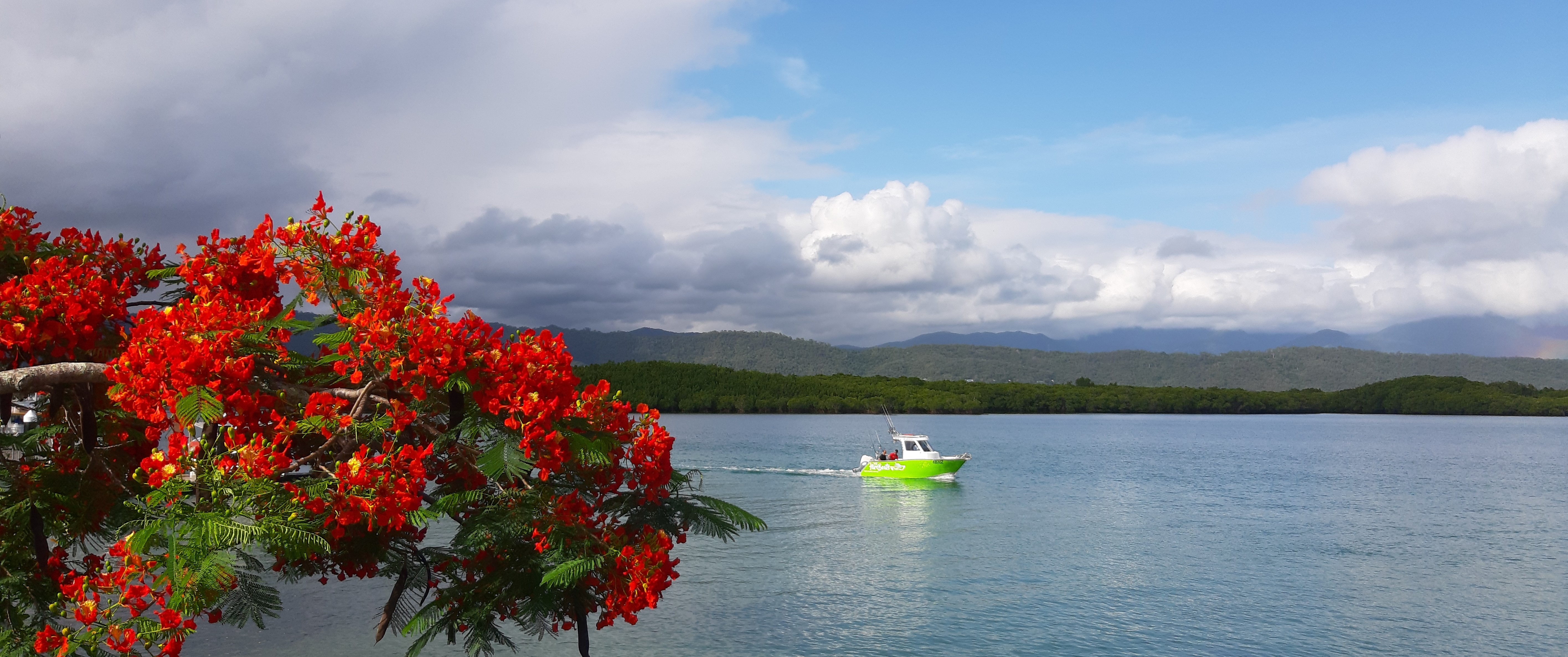 portdouglas2